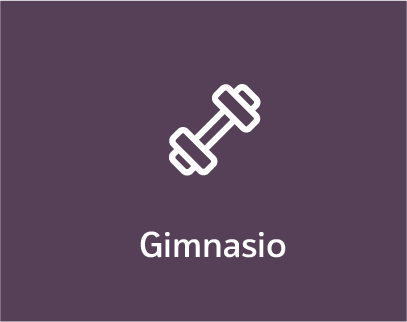 Gimnasio elementum