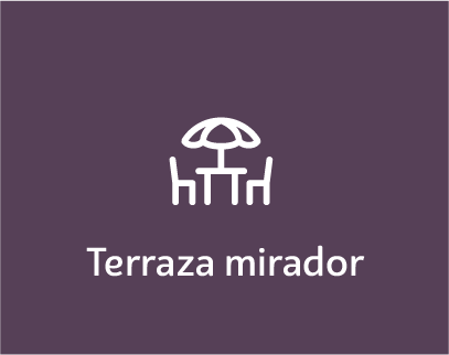 Terraza-mirador-proyecto-elementum