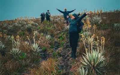 Cara del Indio-2