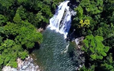Imagen paisaje doradal