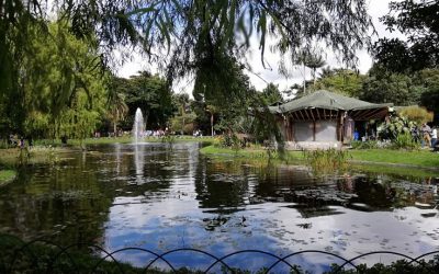 imagen Jardin Botanico de bogotá